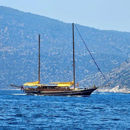 Oz * Kalkan