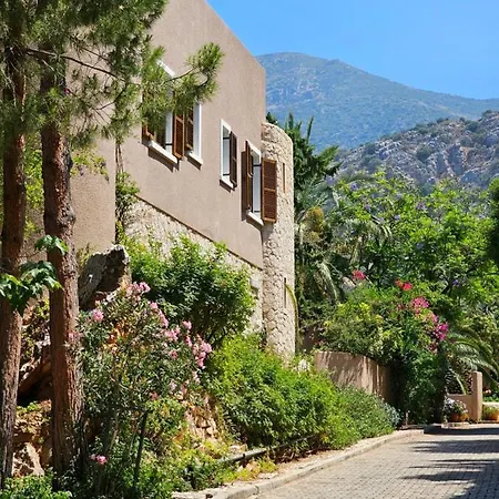 Oz * Kalkan