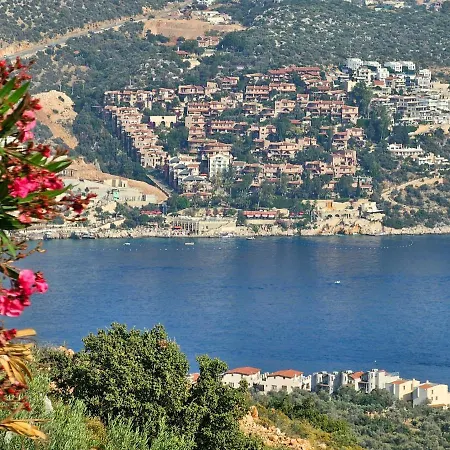 Oz Villa