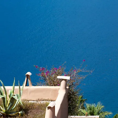 Oz * Kalkan