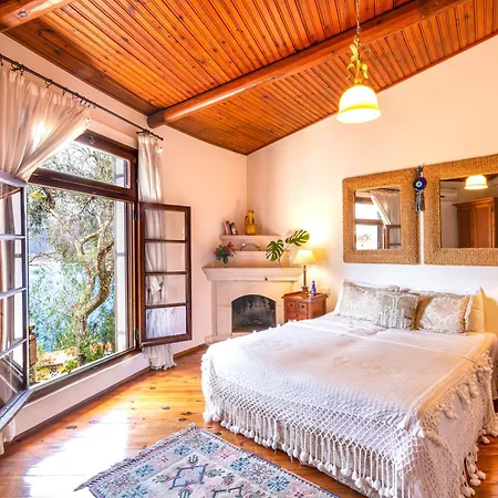 Oz Villa